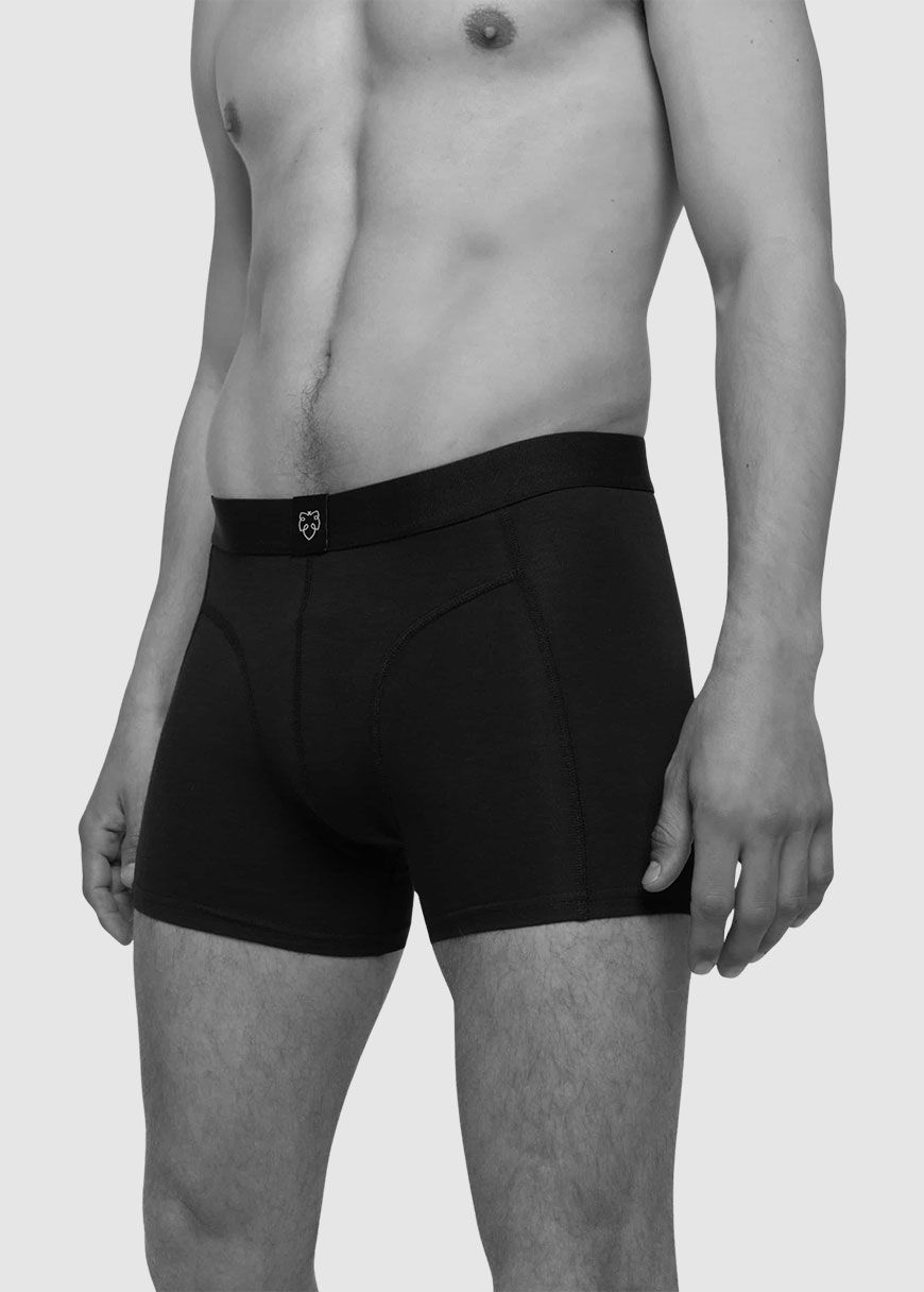 3x Boxer Brief